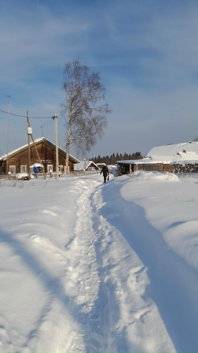 С заботой о семьях, оказавшихся в трудной жизненной ситуации и проживающих на отдаленных сельских территориях: "семейный куратор" в деревне Еловино