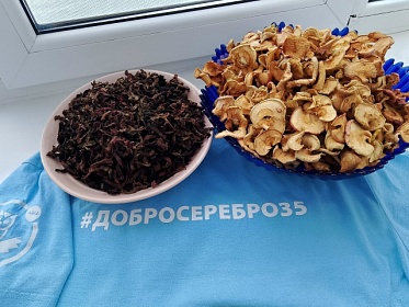 "Серебряный" волонтер Татьяна Алексеевна участвует в благотворительной акции "Подарок солдату"  Серебряный волонтер поделилась в отправку для бойцов специальной военной операции сушеные яблоки и свеклу.  Спасибо за доброе сердце!